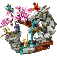 Блочный конструктор LEGO Храм Дракона Камня (71819) 