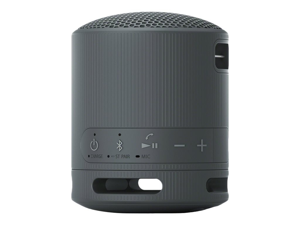 Портативна колонка Sony SRS-XB100 Black (SRSXB100B)  Фото №1