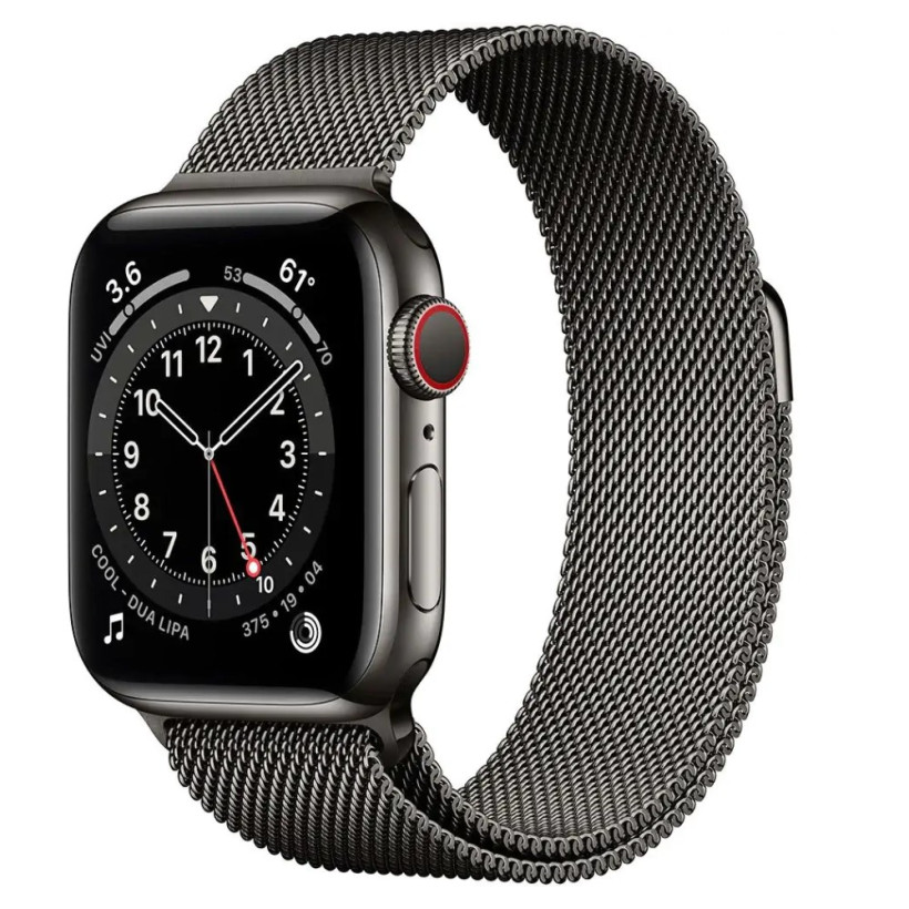 Смарт-часы Apple Watch Series 6 GPS + Cellular 40mm Graphite S. Steel Case w. Graphite Milanese L. (MG2U3+M06Y3)  Фото №0