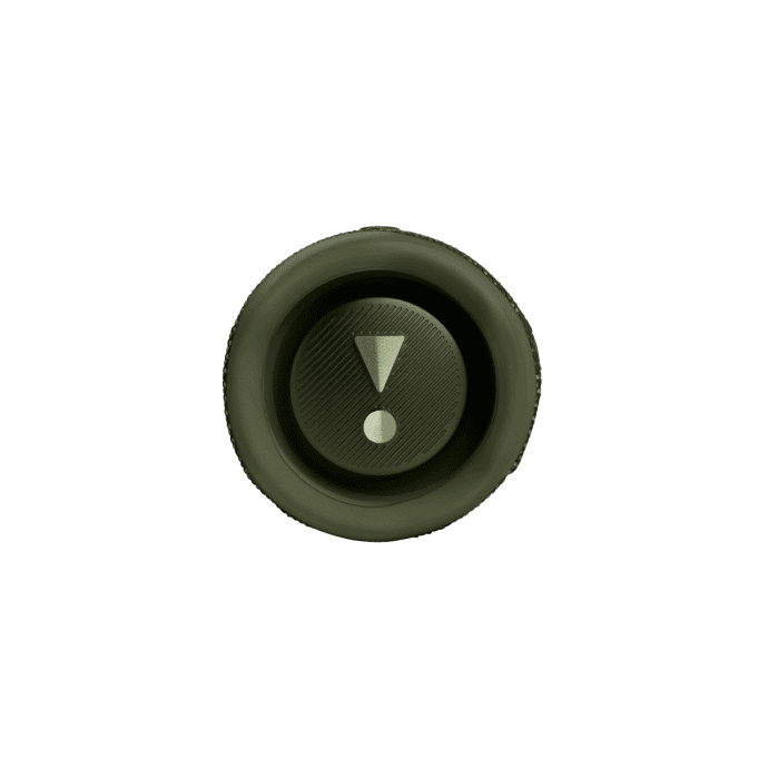 Портативна колонка JBL Flip 6 Green (JBLFLIP6GREN)  Фото №0
