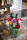 Блочный конструктор LEGO Creator Expert Букет цветов (10280)  Фото №1