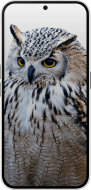 Смартфон Nothing Phone (2a) 12/256GB Aerodactyl Special Edition (A10400088ASE) 