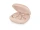 Наушники TWS Beats by Dr. Dre Fit Pro Kim K Special Edition Moon (MNW53)  Фото №3
