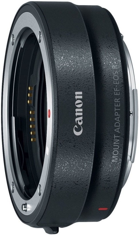 Бездзеркальний фотоапарат Canon EOS R10 Body + Mount Adapter EF-EOS R (5331C031)  Фото №6