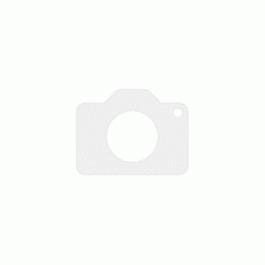 Стилус ONYX BOOX Pen 2 Pro Black