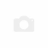 Стилус ONYX BOOX Pen 2 Pro Black 