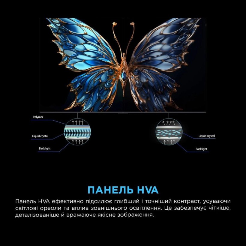 Телевізор TCL 55P8K  Фото №10
